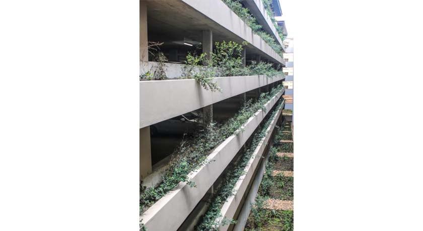 418 Zimbali Suites room 6