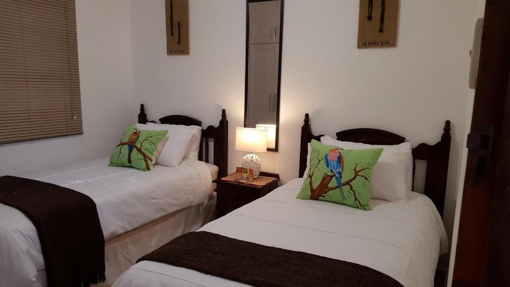 African Dwarf Kingfisher Guest House room 2