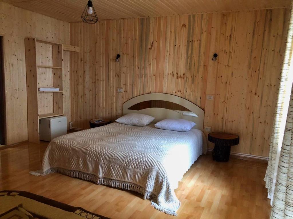 Agropensiunea Nemira room 5