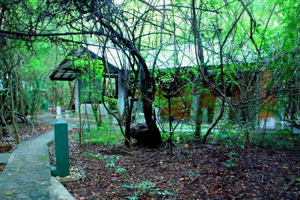 Akein Nature House Sigiriya room 1
