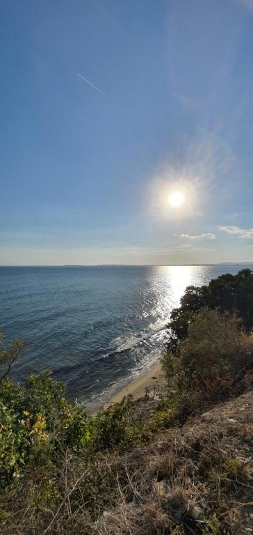 Алекс бийч room 6