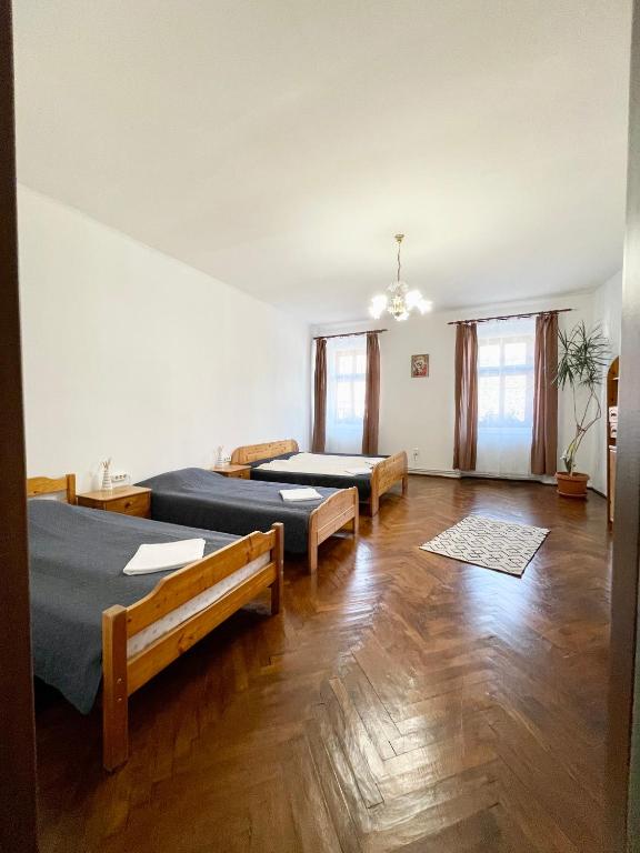 Alex Com Apartments room 5