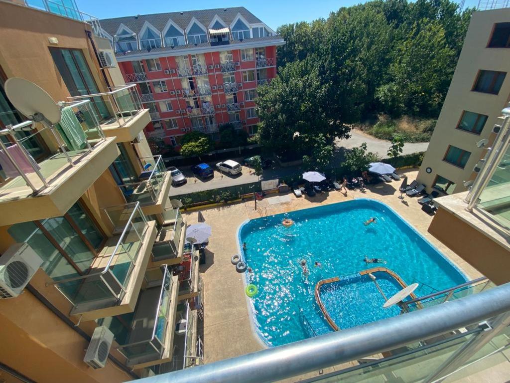 Амадеус 11 room 1