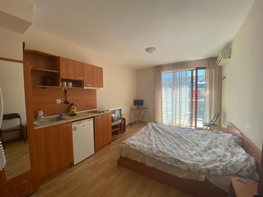 Амадеус 11 room 3