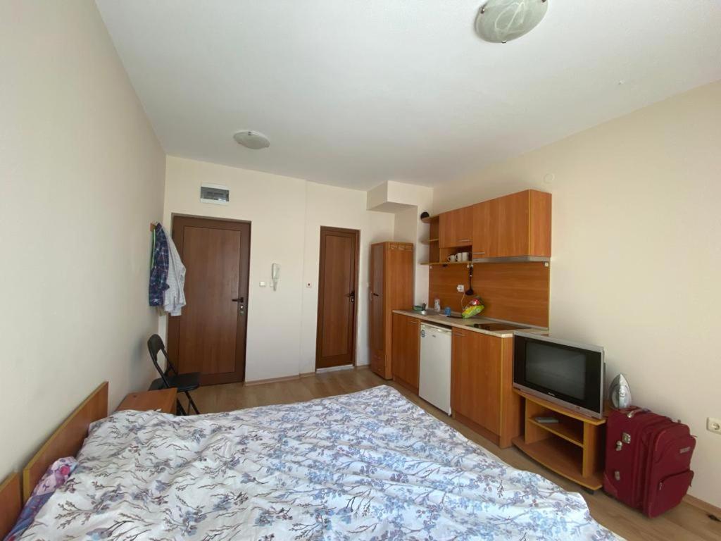 Амадеус 11 room 6