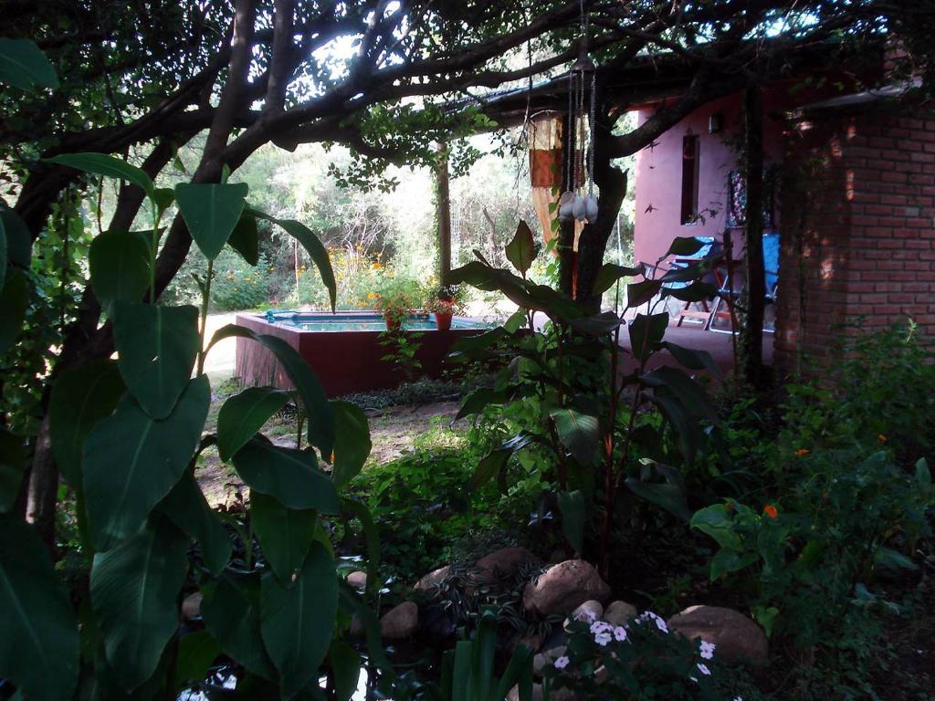 Amaltea Traslasierra room 5