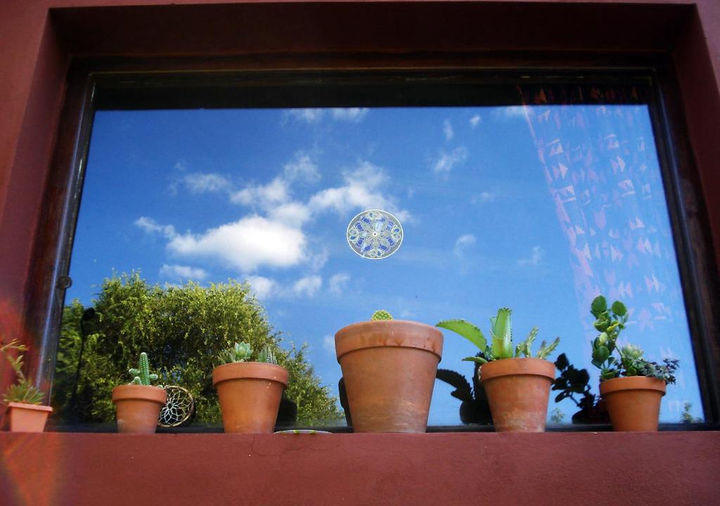 Amaltea Traslasierra room 6