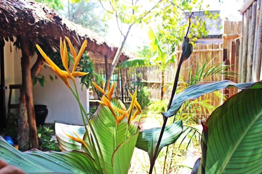 An Bang Purple Homestay room 1