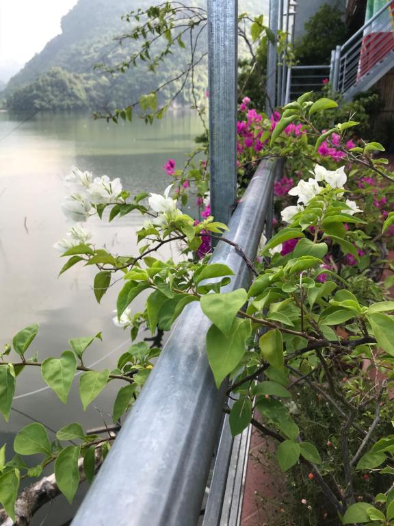 Anh Ngọc Homestay room 6