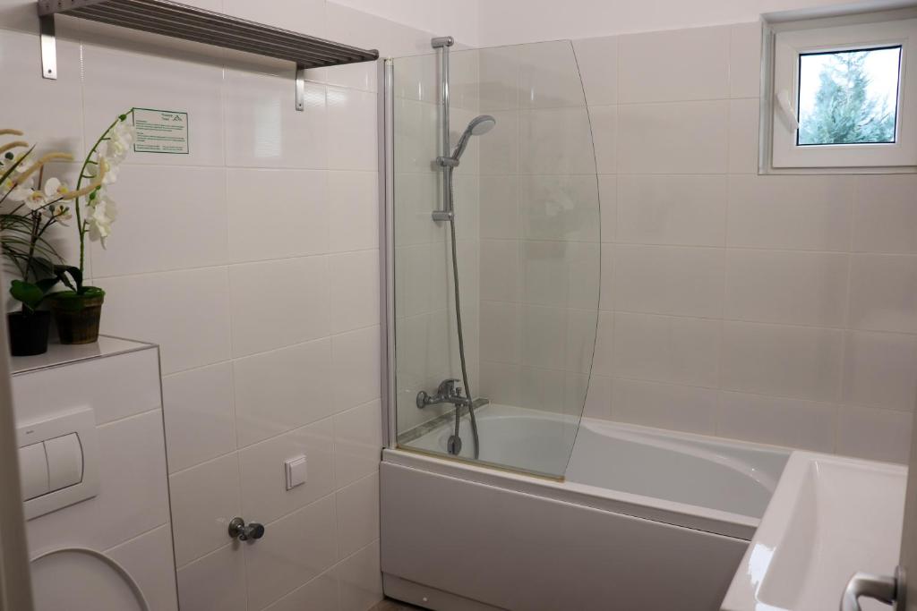 Apartamente Bucegi room 2