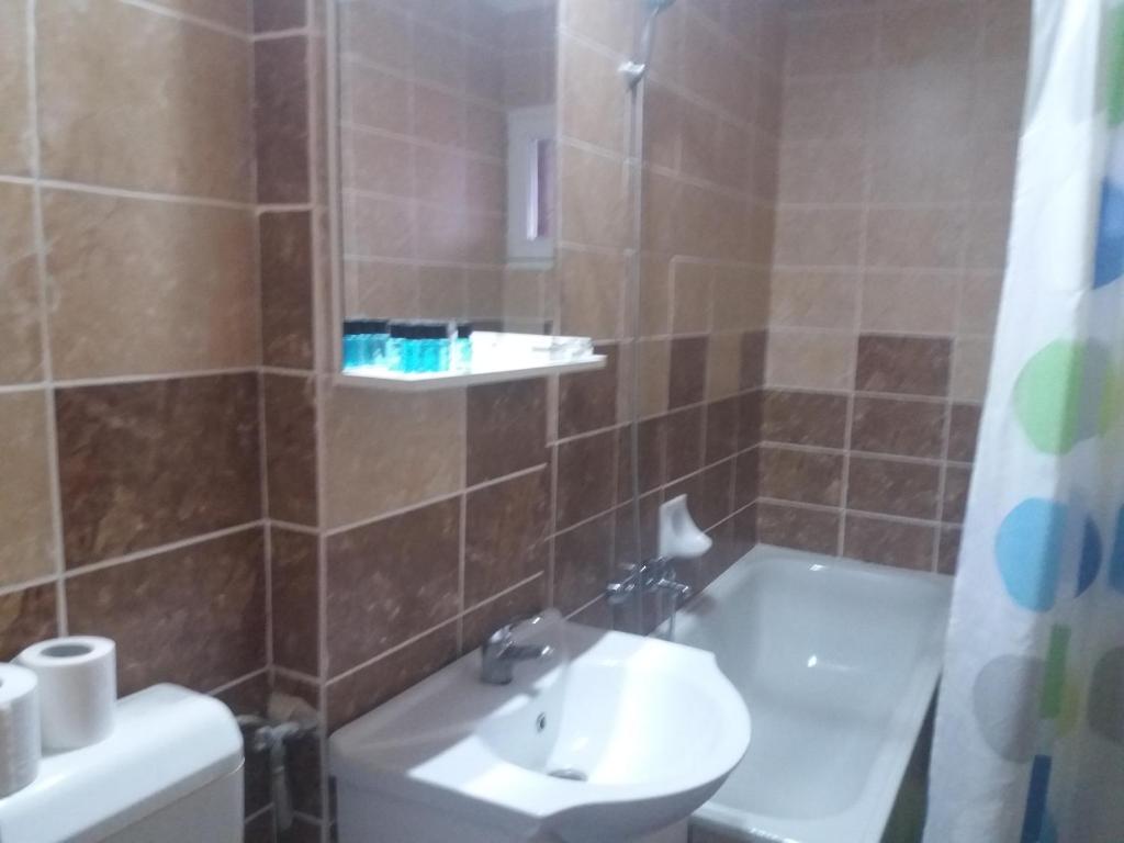 Apartament Viorea room 1