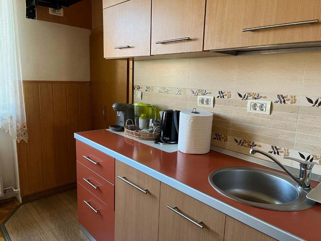 Aparthotel Marius - Schei Apartament 2 room 4