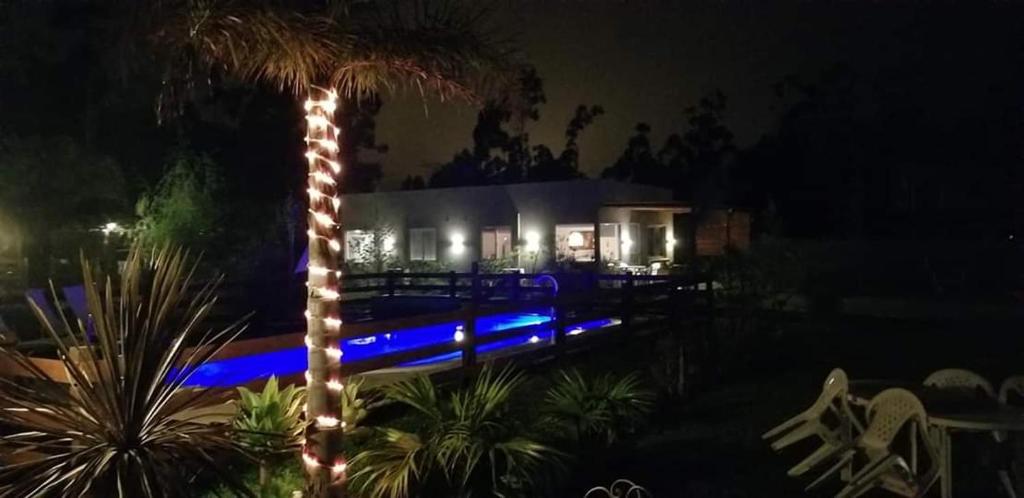 Aratiri Cabañas room 2