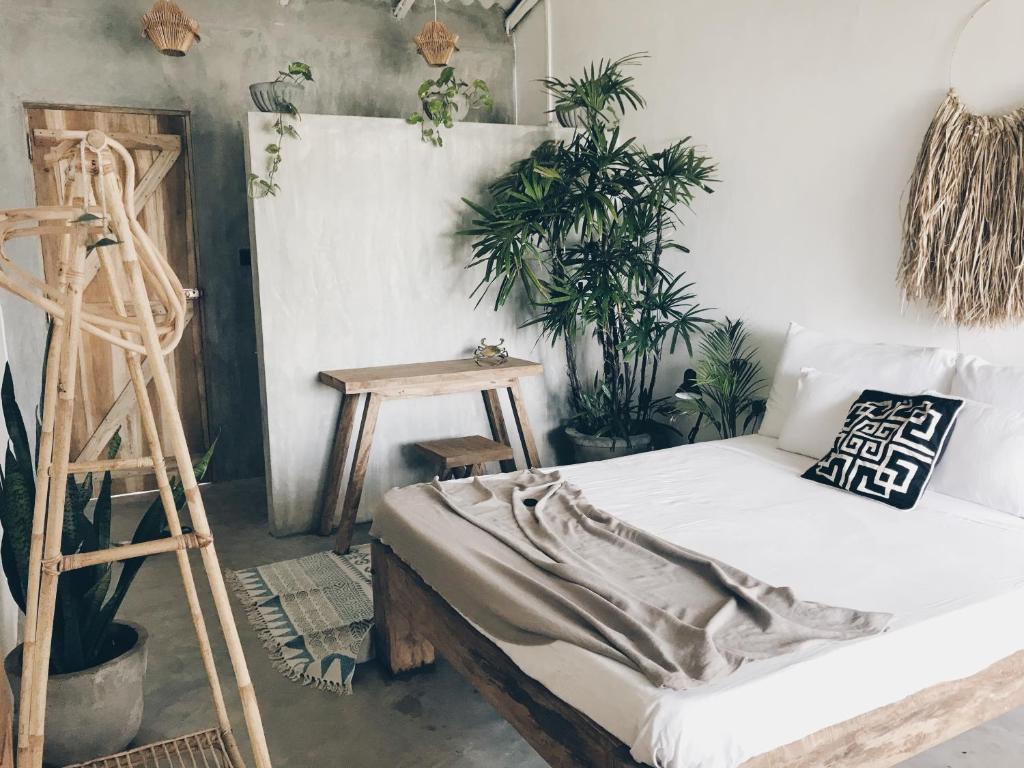 Avocado For Today room 1