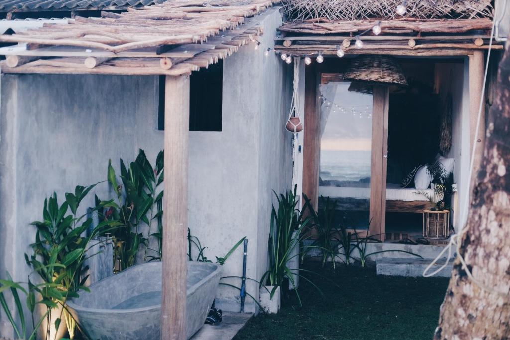 Avocado For Today room 3