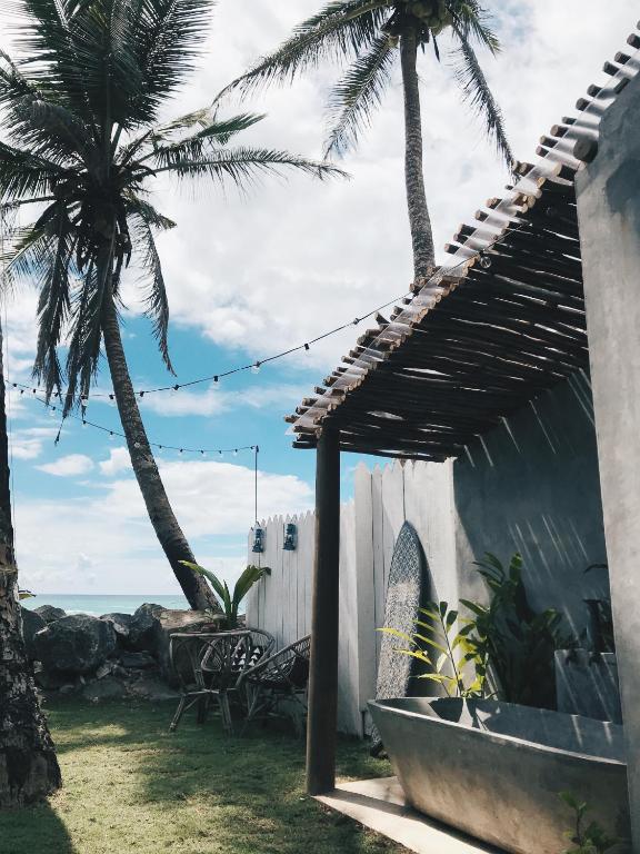 Avocado For Today room 4