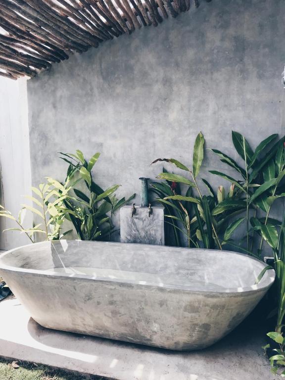 Avocado For Today room 5