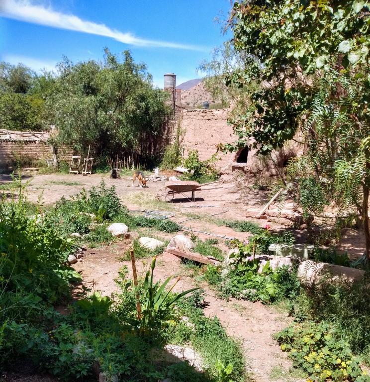 B&B Ayrampo en Flor room 4