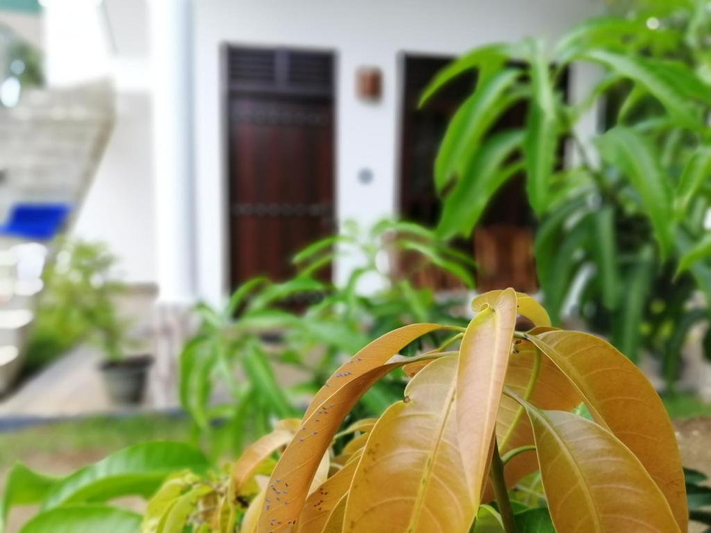 Banana Resort & Restaurant room 4