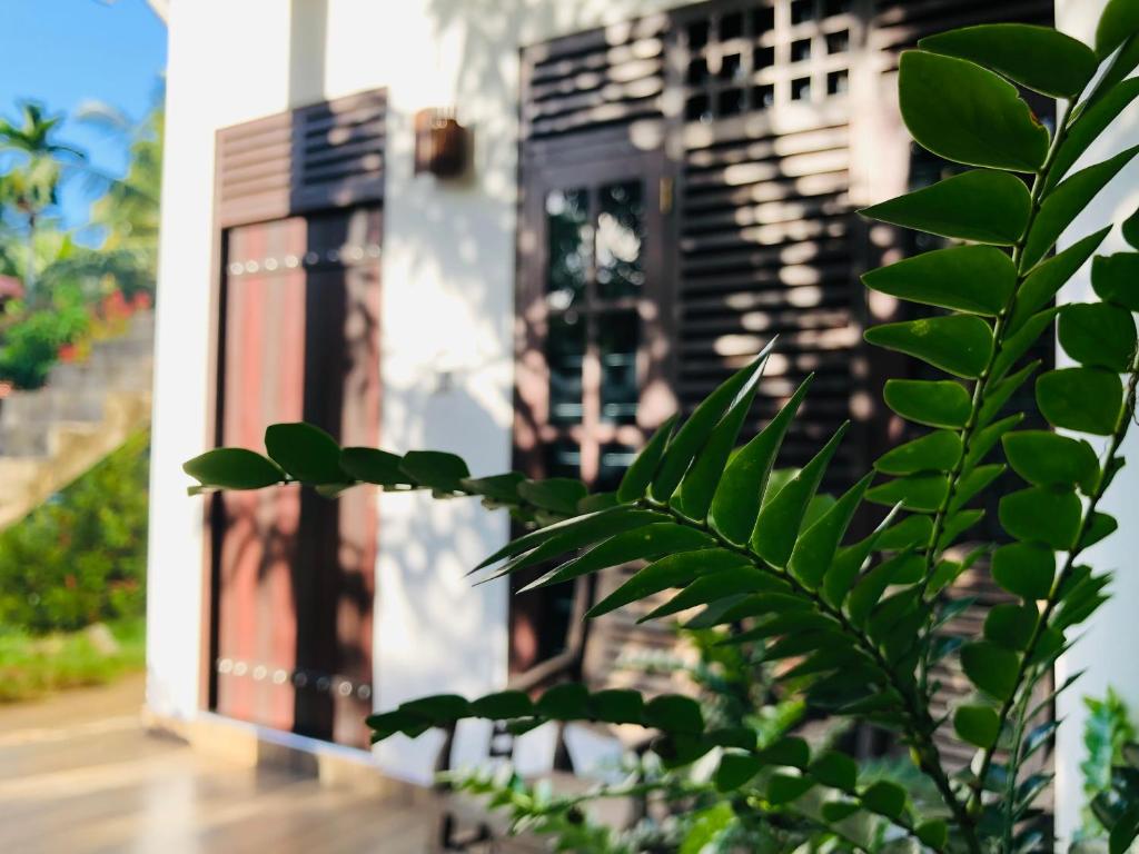 Banana Resort & Restaurant room 5