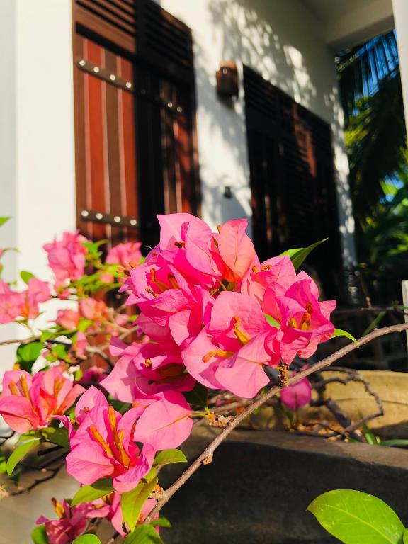 Banana Resort & Restaurant room 6