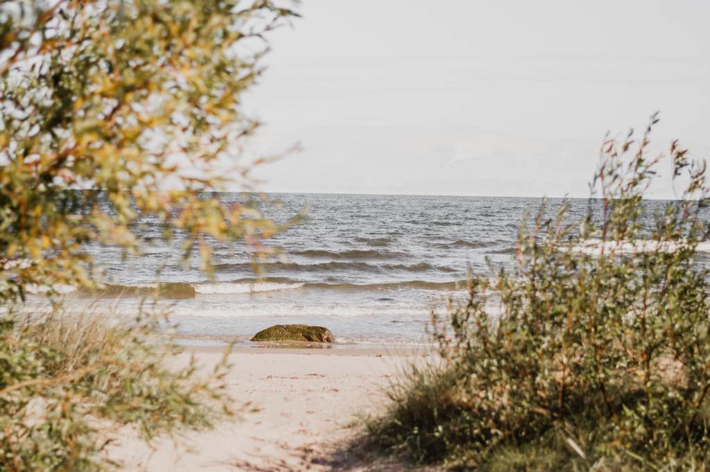 Beach House Kaltene room 1