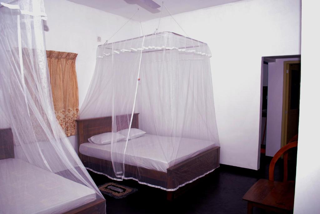 Bird Villa room 3