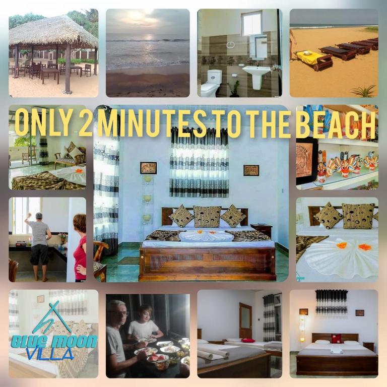 Blue Moon Villa room 2