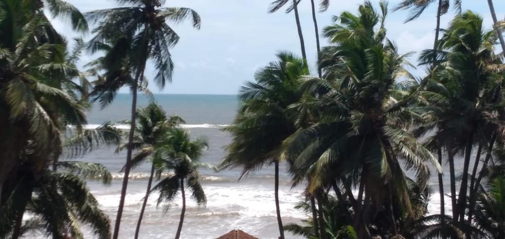 Blue Ocean Hotel & Restaurant room 3