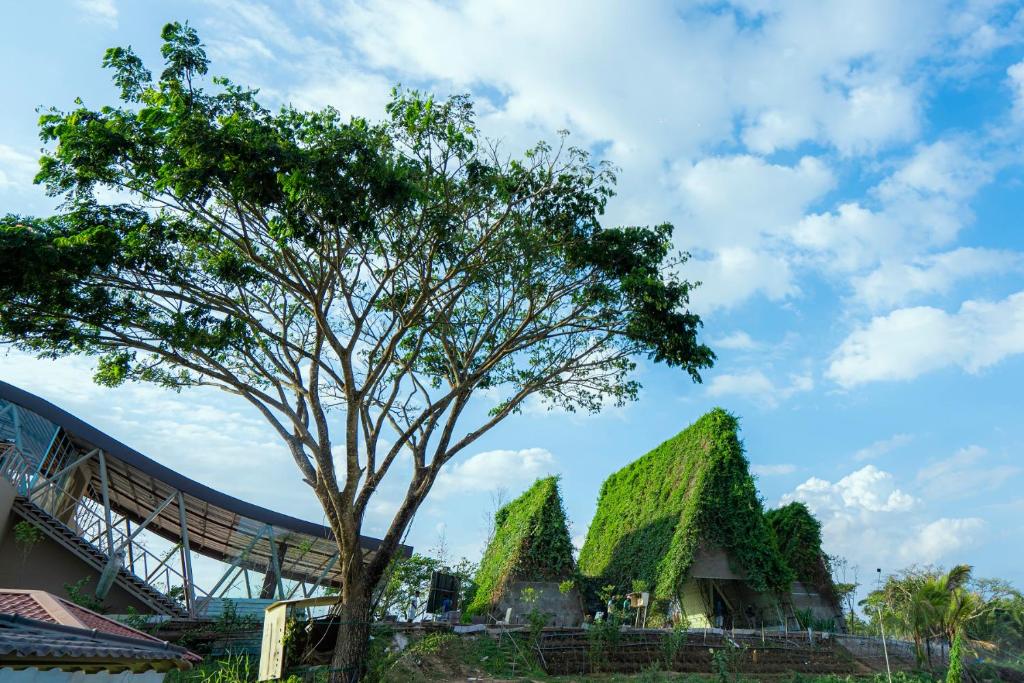 BOLAGALA AGRO FLOATING RESORT room 4