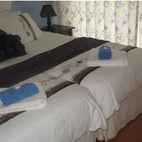 B&B Bottlenose Guesthouse room 4