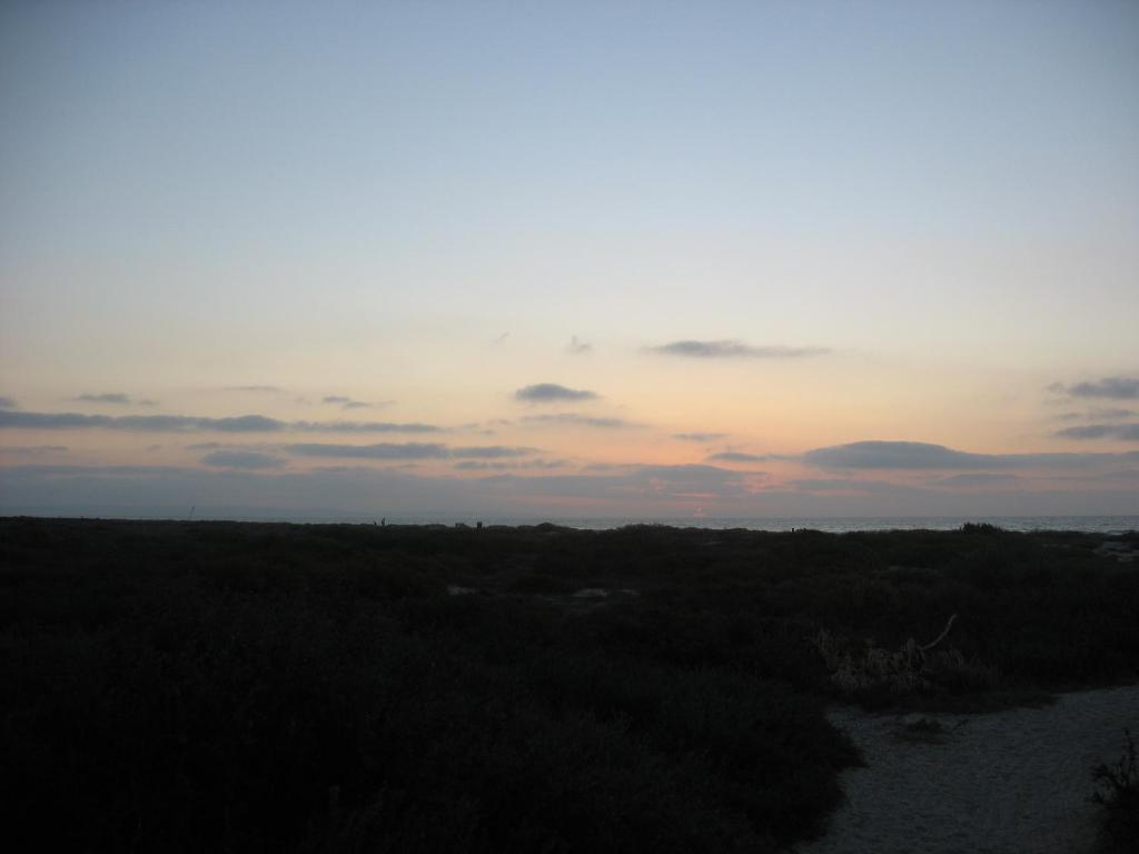 B&B Bottlenose Guesthouse room 6