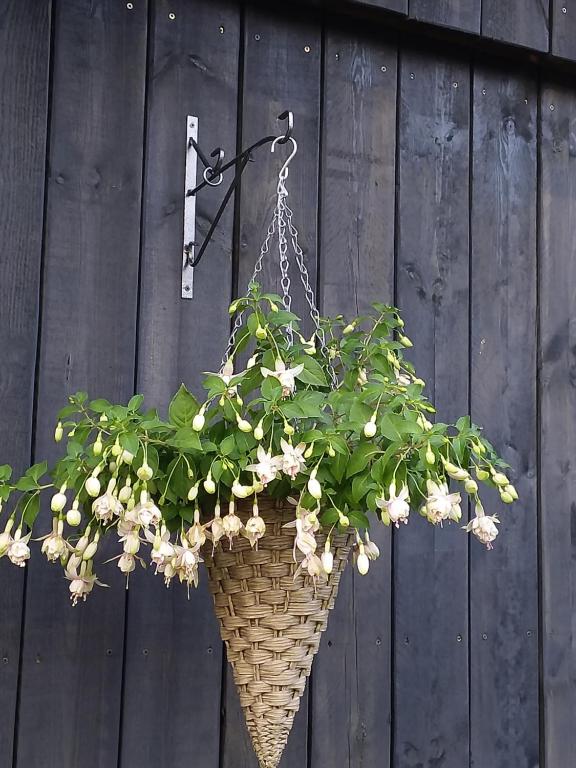 Brīvdienu māja lauku SPA Mākoņmalas room 2