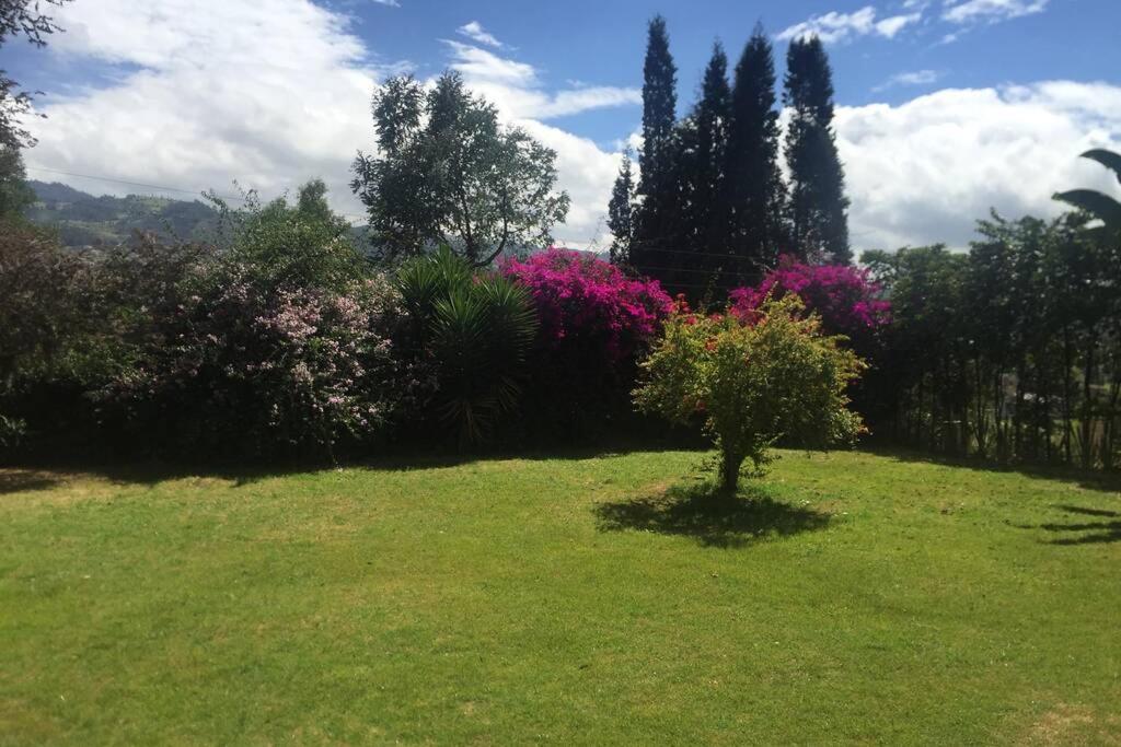 Cabaña Arcos De La Loma room 3