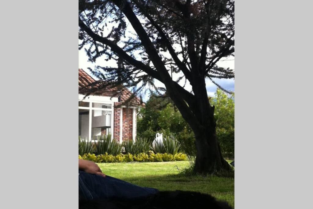 Cabaña Arcos De La Loma room 5