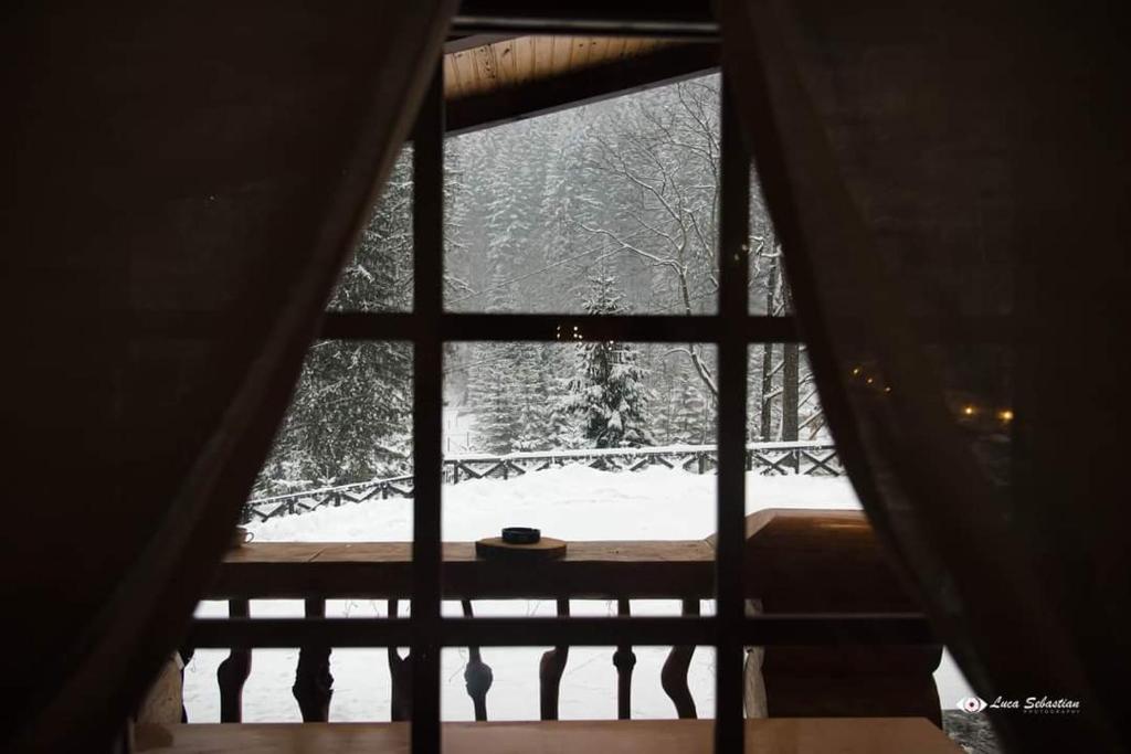 Cabana Caprioara room 5