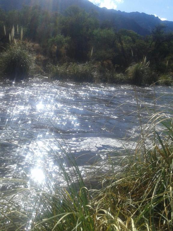 CABAÑA EL MANGRULLO room 4