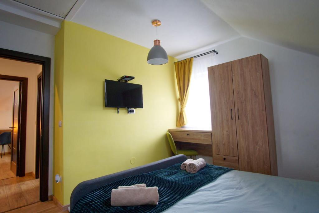 Cabana Noua room 2