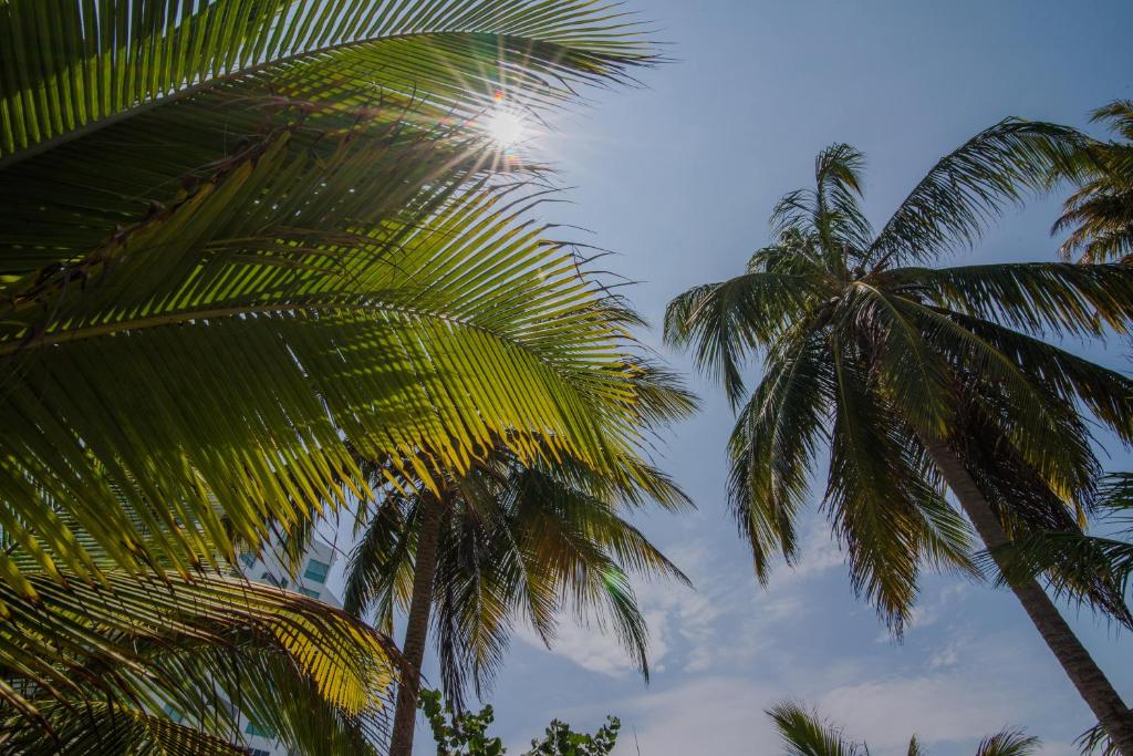 Cabañas Macondo room 1