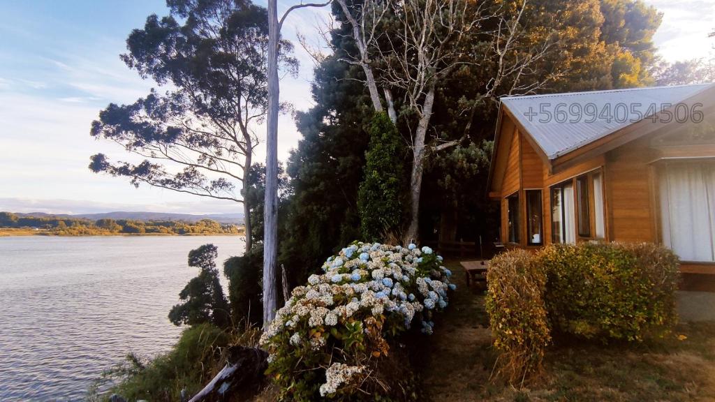 Cabañas Mirador al Río Valdivia room 1