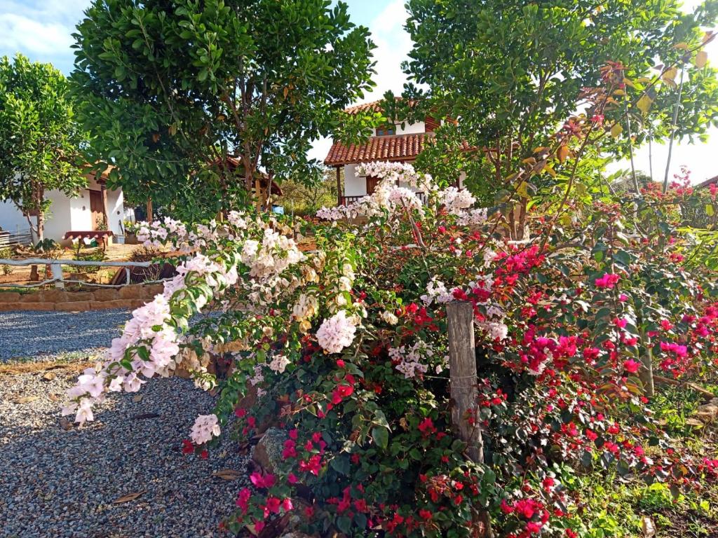 Cabañas Villa Angelica room 6