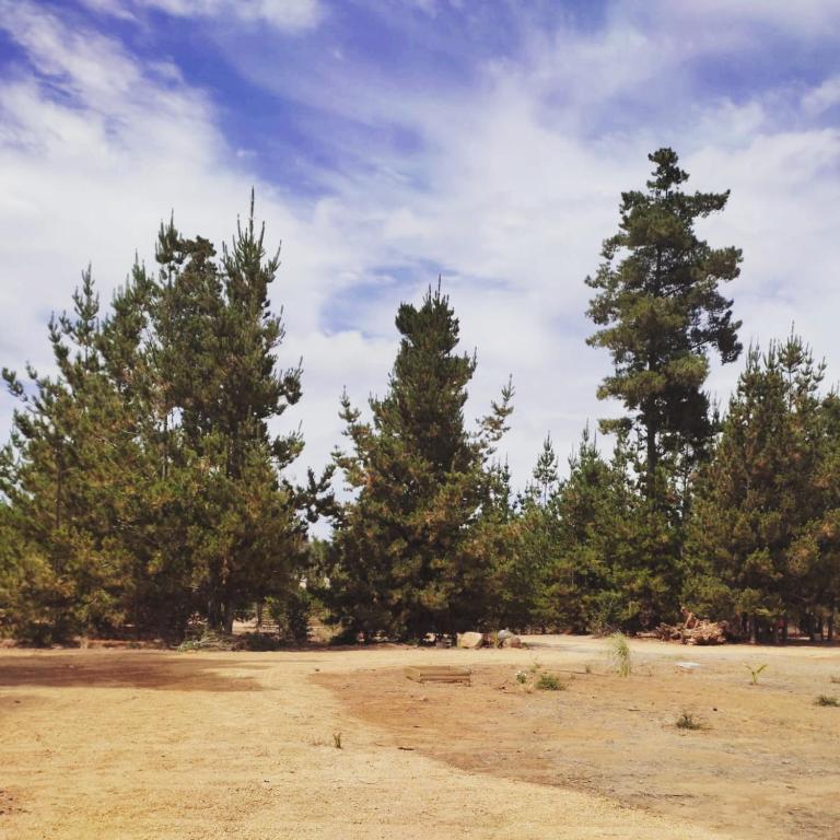 Cabañas VistaBosque de Algarrobo room 3