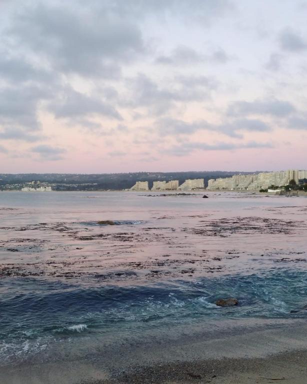 Cabañas VistaBosque de Algarrobo room 4