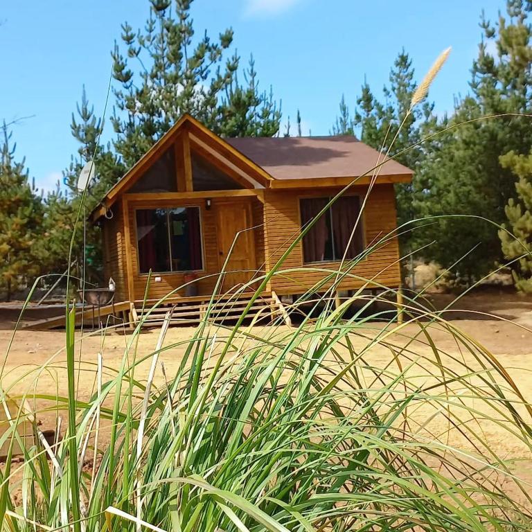Cabañas VistaBosque de Algarrobo room 6