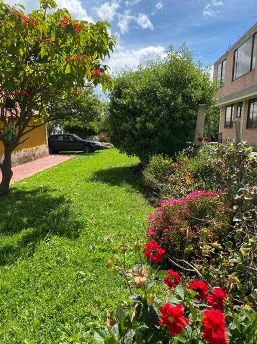 Cabaña Villa Makus room 2