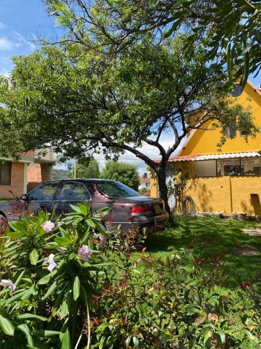 Cabaña Villa Makus room 3