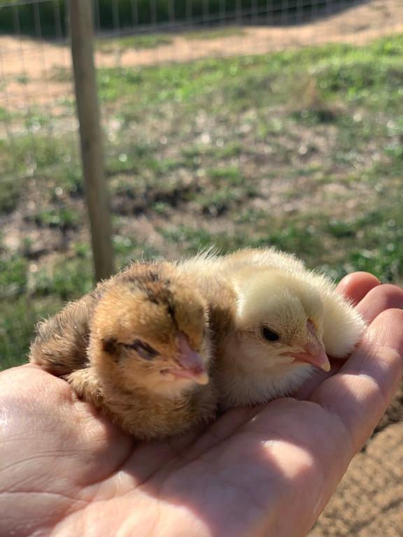 Calais Wine Estate room 6