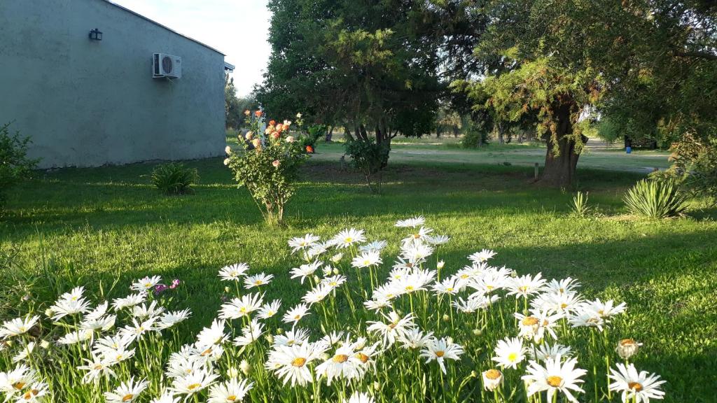 Casa de Campo Las Olivas room 1