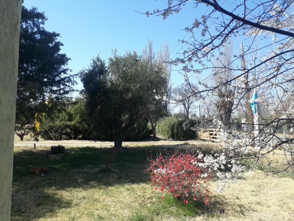 Casa de Campo Las Olivas room 2