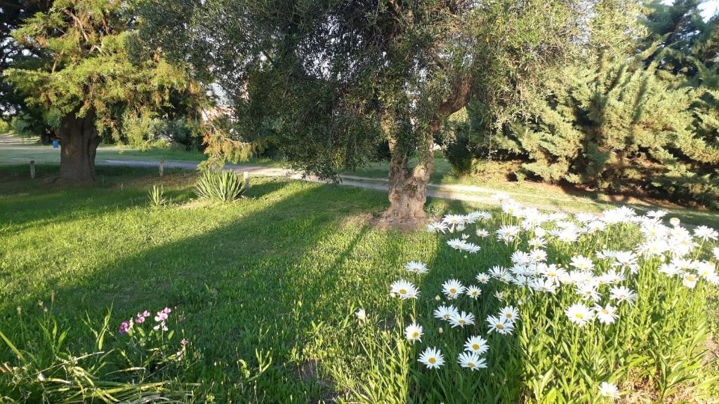 Casa de Campo Las Olivas room 3